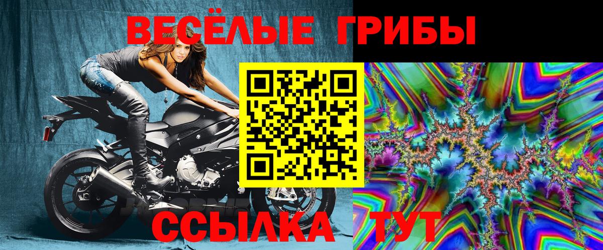 Галлюциногенные грибы MAGIC MUSHROOMS Трёхгорный