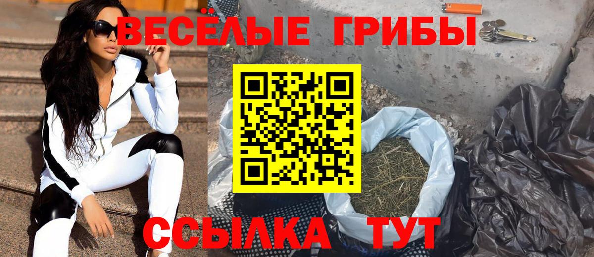 Трёхгорный  Псилоцибиновые грибы Magic Shrooms  наркотики  Вход с VPN 